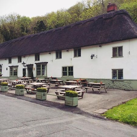 Hambro Arms Hotel Milton Abbas Екстериор снимка