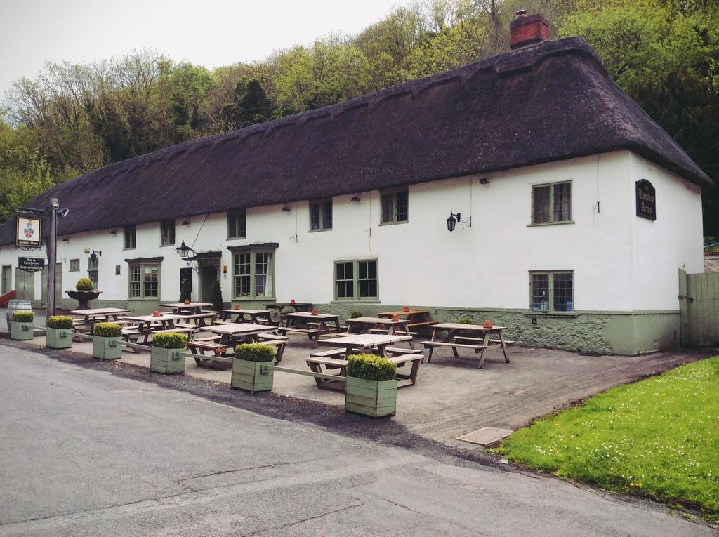 Hambro Arms Hotel Milton Abbas Екстериор снимка
