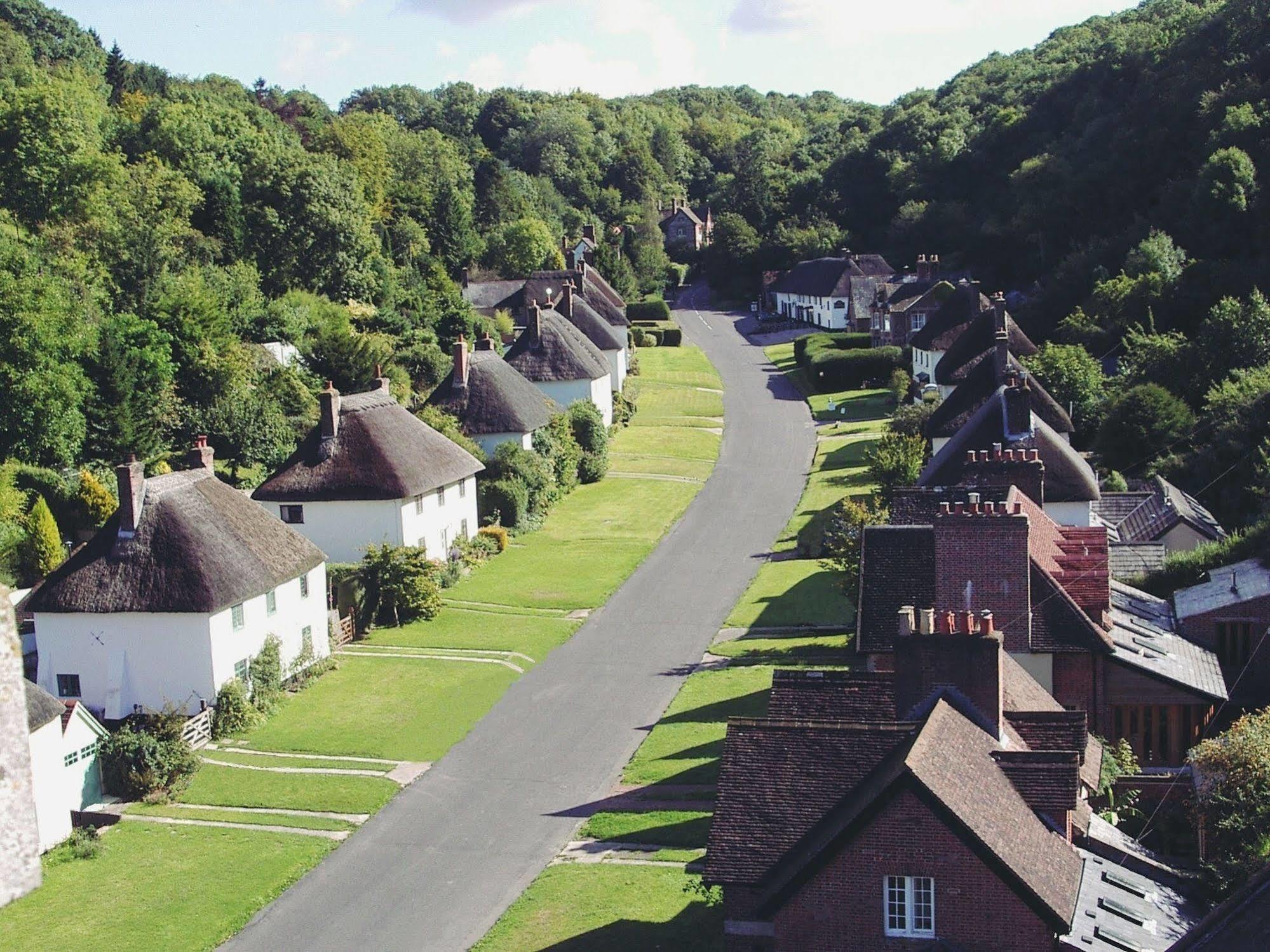 Hambro Arms Hotel Milton Abbas Екстериор снимка