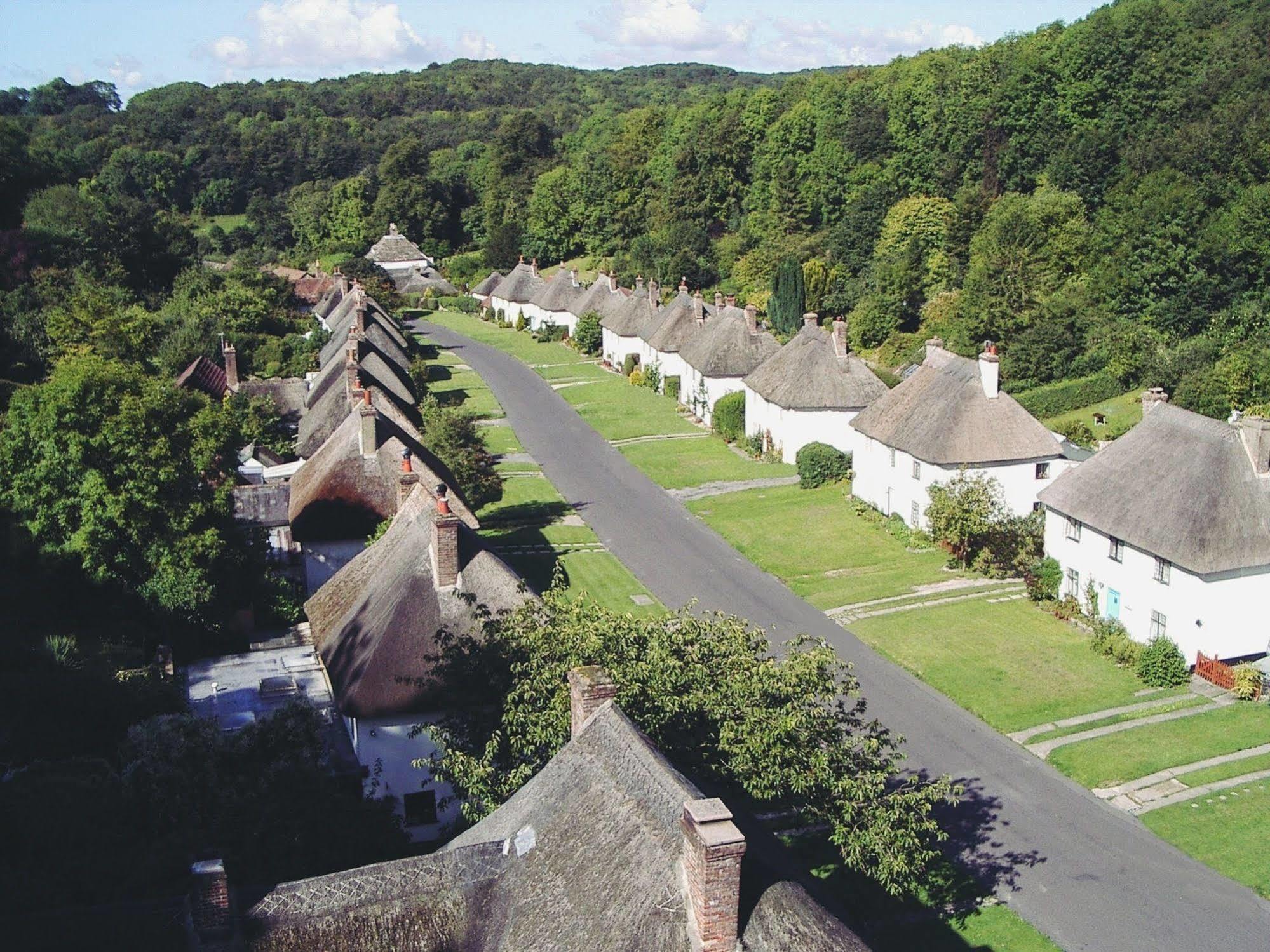 Hambro Arms Hotel Milton Abbas Екстериор снимка